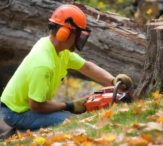 tree services Hebron Estates